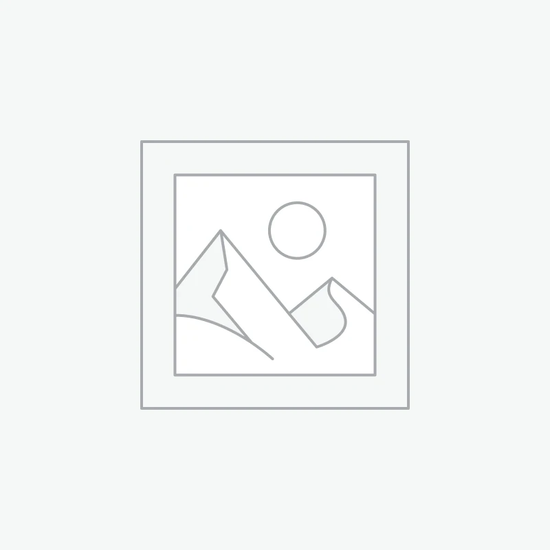 Tesla Model Y AWD – White Long Range